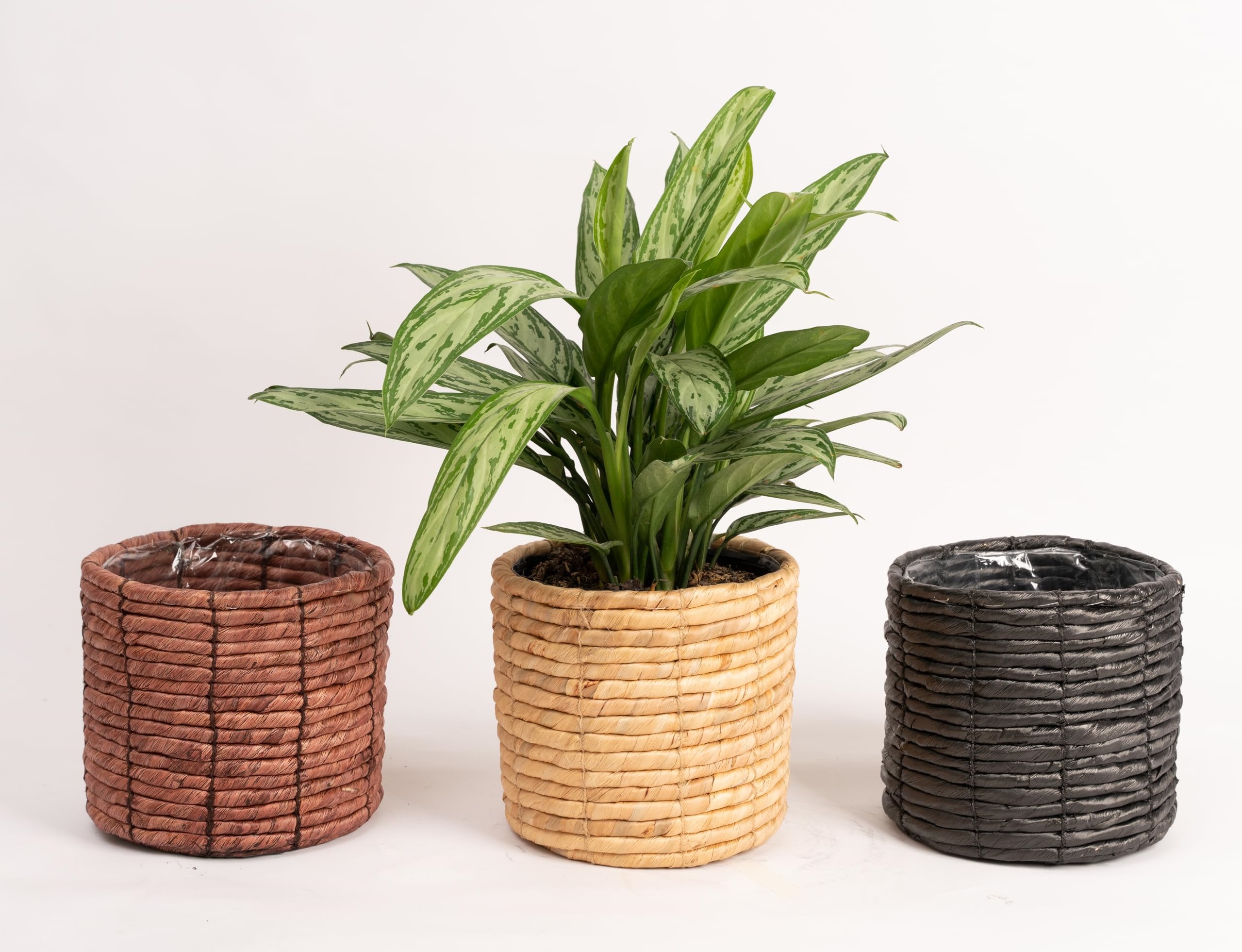 Customized Hanging Baskets factory