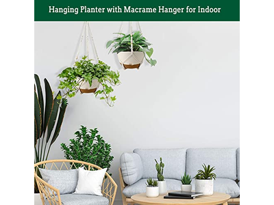 Hanging Basket With Plant Included Baskets For Plants Bulk Flowers Net Pocket