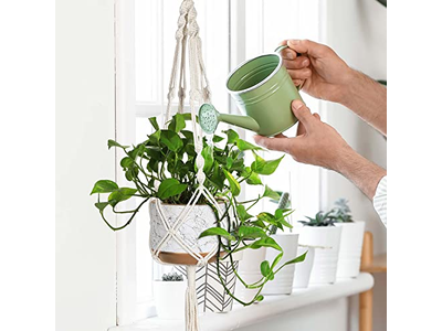Hanging Baskets Chains Plant Holders For Plants 16 Inch Basket Flower Holder