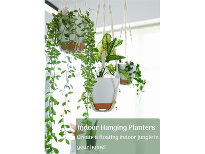 Outdoor Plant Stand Hanging Baskets Coconut Palm Basket Planter 12 Inch