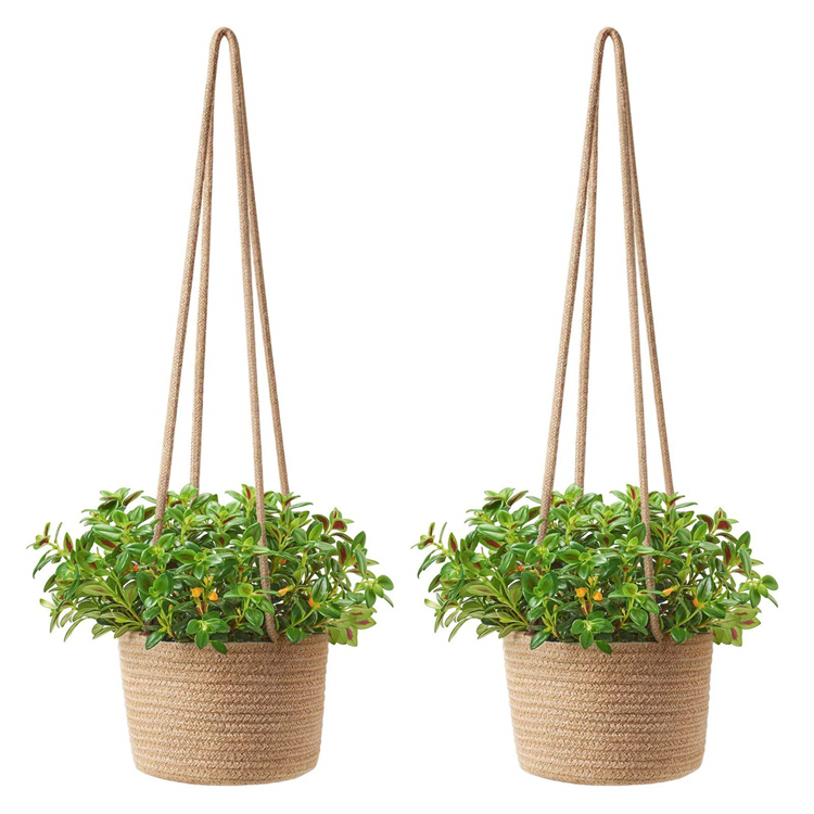 Ready-to-Hang Convenience